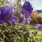 Alte Molkerei 4*