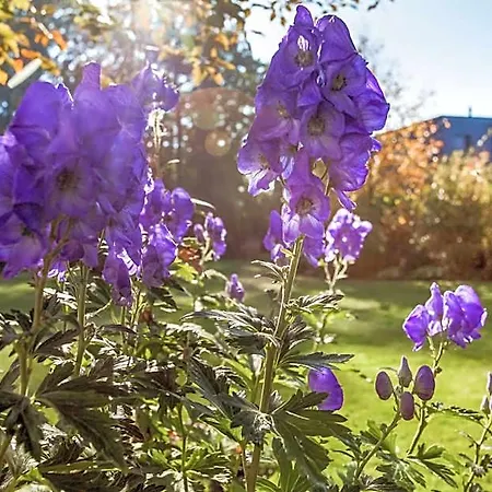 Bed & Breakfast Alte Molkerei